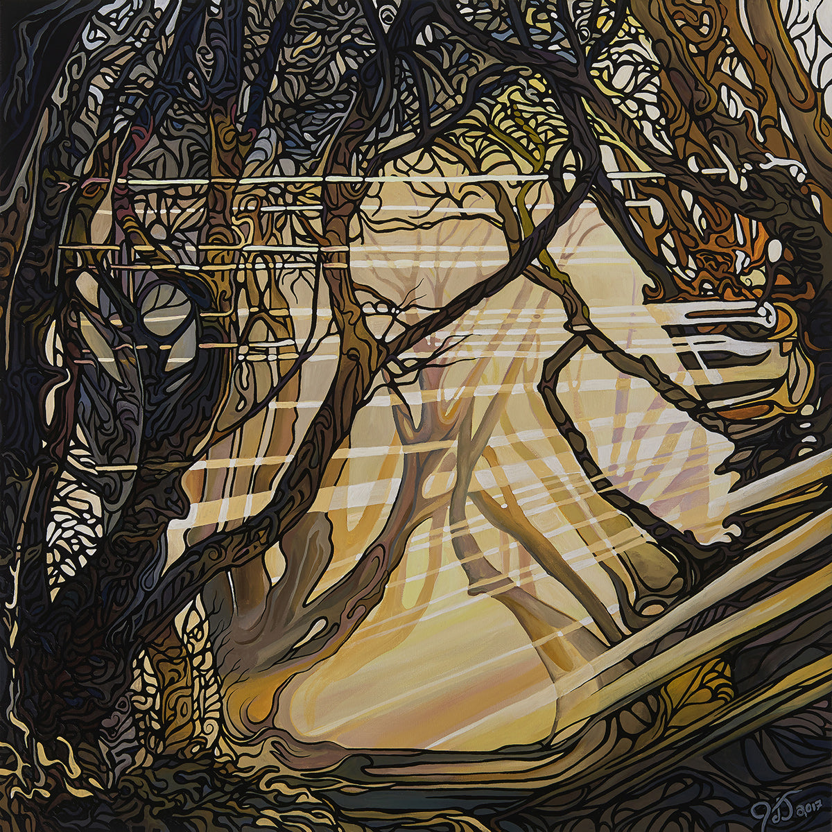 110-illuminate-prints