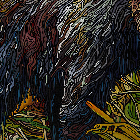 #111 – Great Bear Rainforest