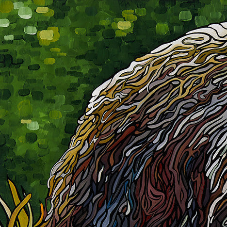 #111 – Great Bear Rainforest