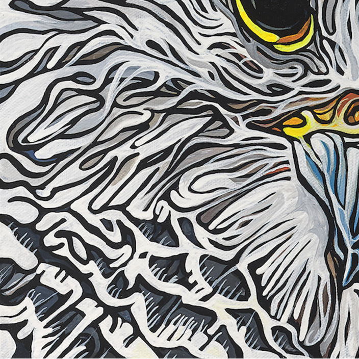 #158 – Concealed Perch