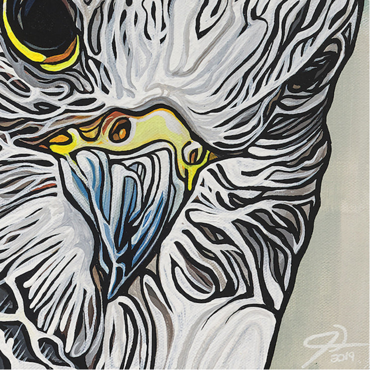 #158 – Perchoir dissimulé