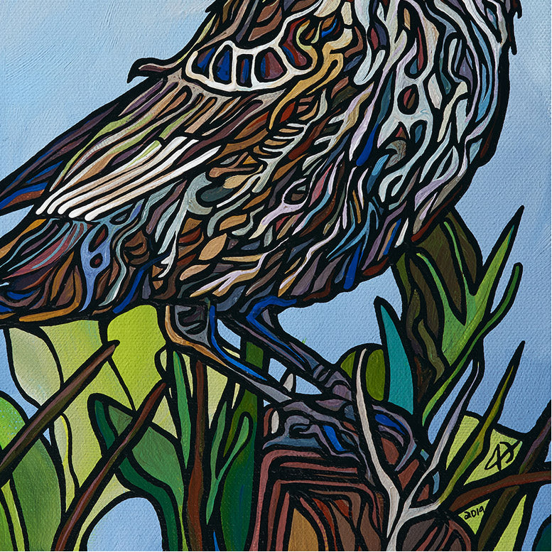 #169 – 红翅黑鹂雌鸟