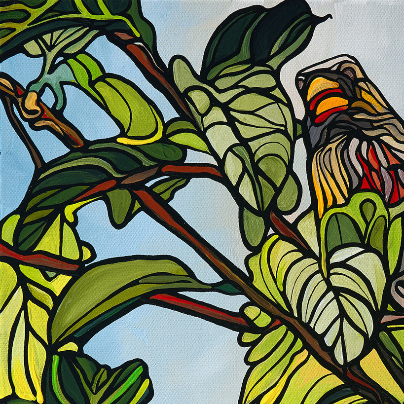 #173 – Vue de dessus