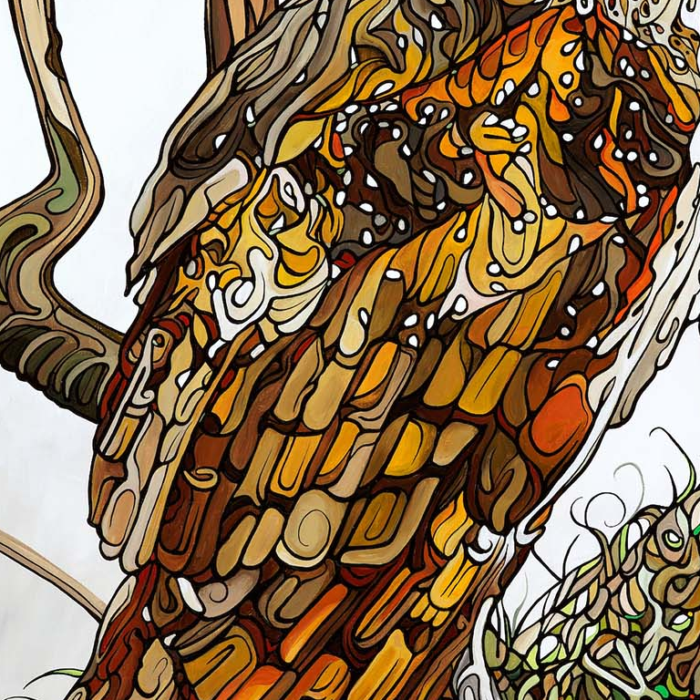 #219 – 主场范围