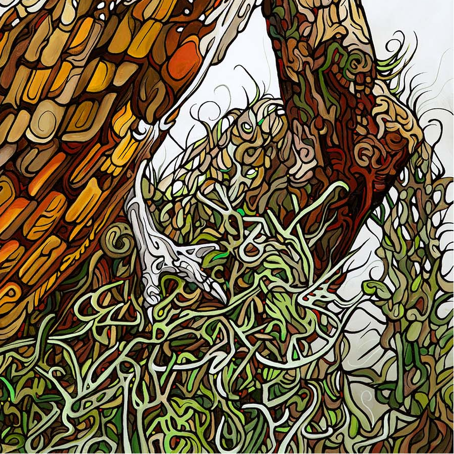 #219 – 主场范围