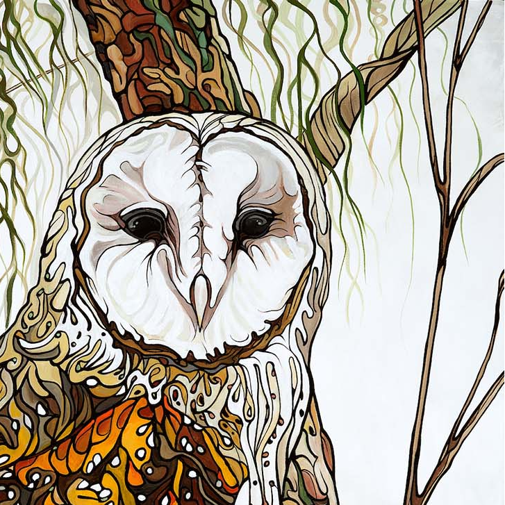 #219 – Gamme de produits pour la maison