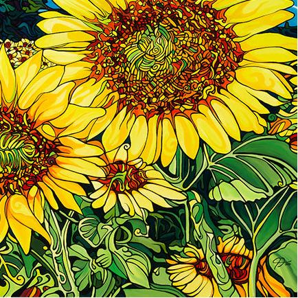 #224 – Le Champ des Rêves