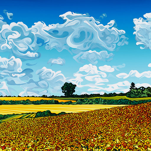 #225 – Suivez le soleil