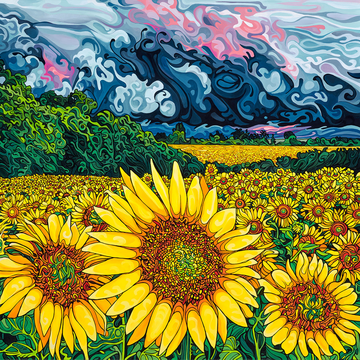 230-splendour-in-the-storm-prints