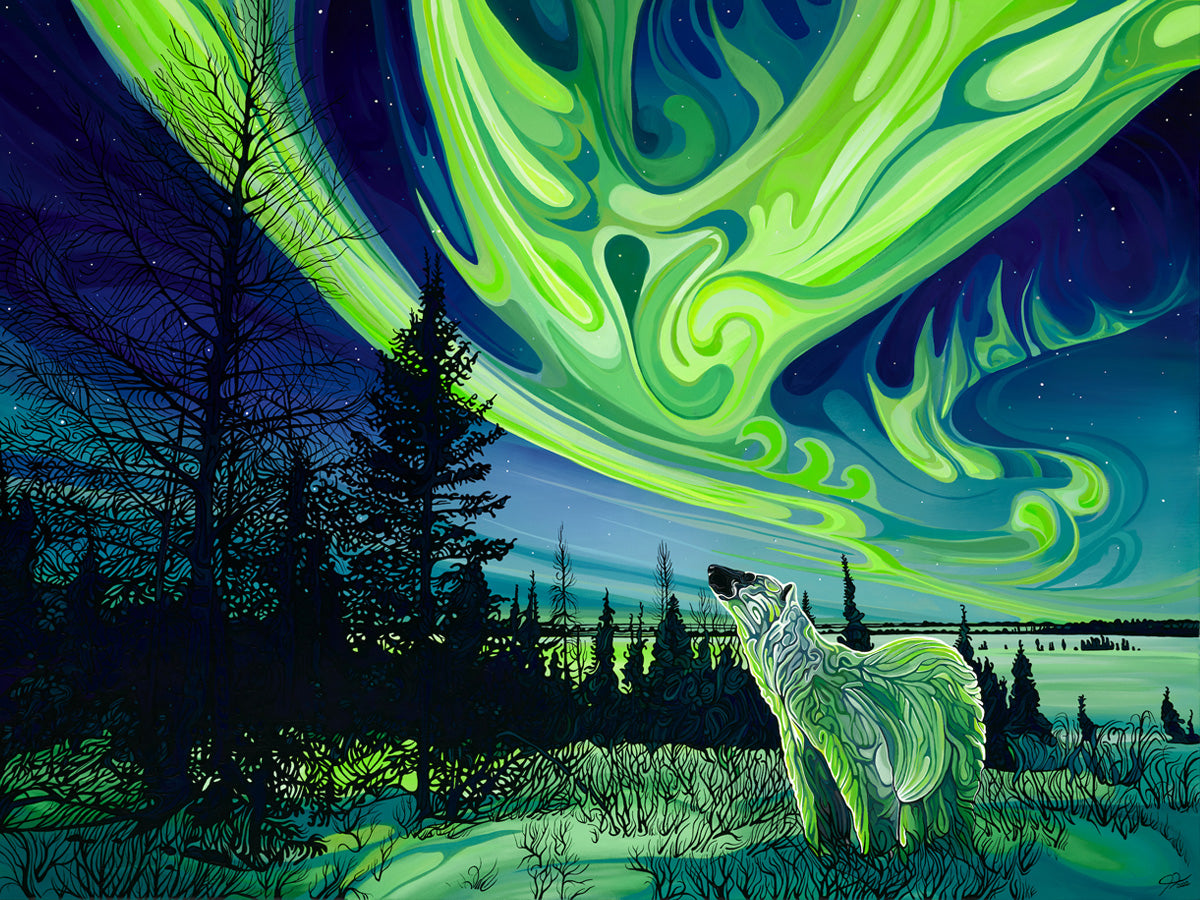 246-northern-light-magic