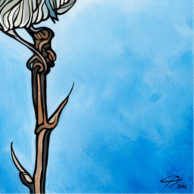 #252 – Merlebleu des montagnes