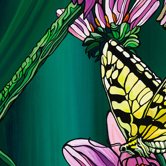 #255 – Machaon tigré majestueux