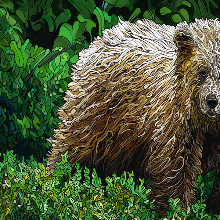 #256 – Caché parmi les sapins