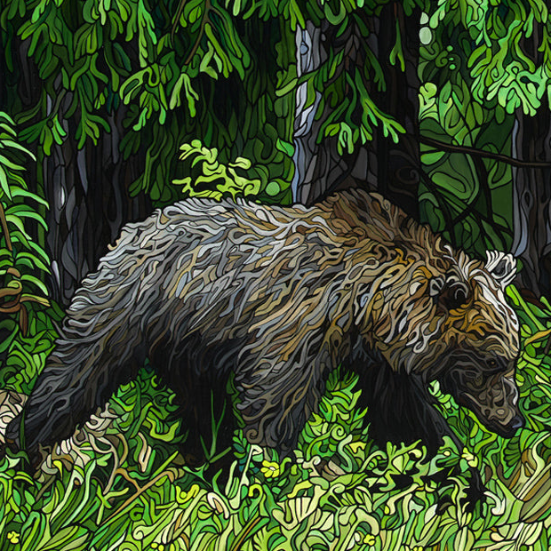 #257 – La quête d'un ours