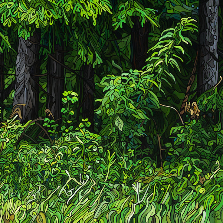 #257 – La quête d'un ours