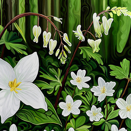 #293 - Étoiles et lanternes