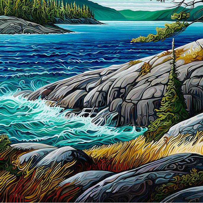 #294 – Le pin gris