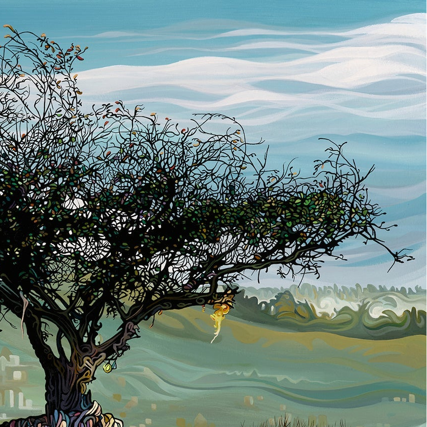 #300 “阿瓦隆岛”