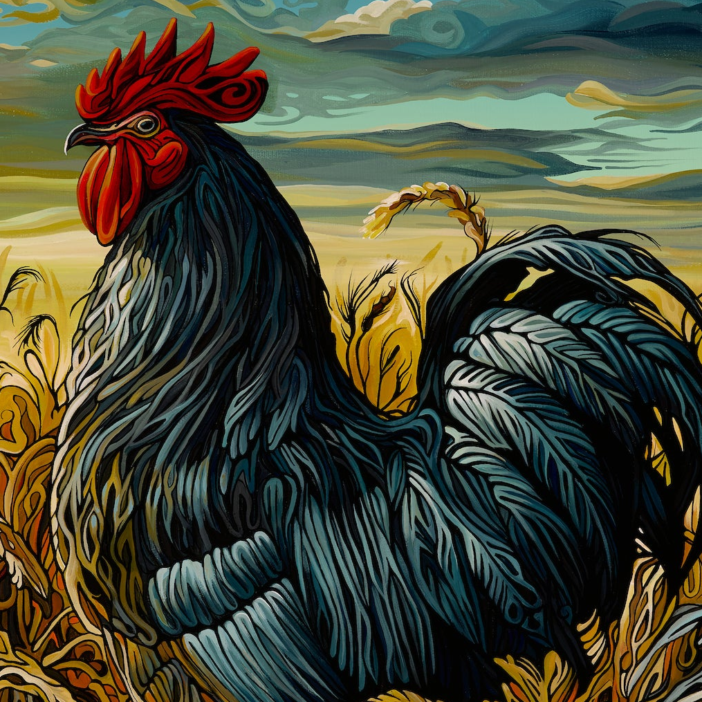 Where I Stand (301) is a striking rooster painting featuring a large black rooster with a red comb, set in a golden field at sunset—perfect farm decor to add charm and character to any space.