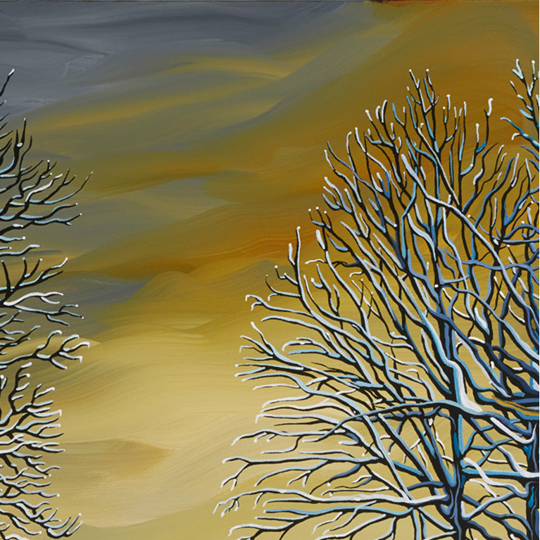 #81 – Le parc de la ville illuminé la nuit