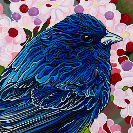 #84 – Créateur de rêves