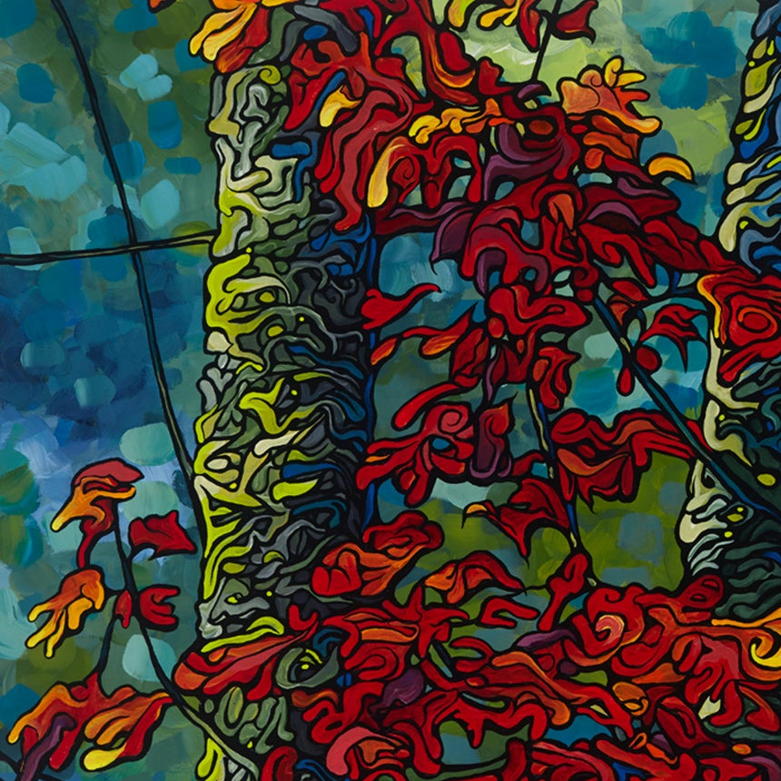 #86 – Touchez le ciel