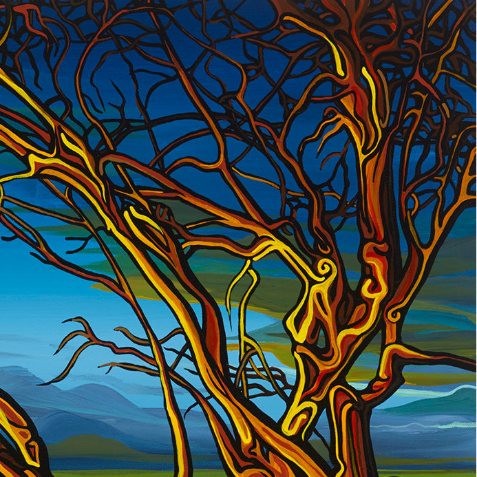 #87 – La lumière précède les ténèbres