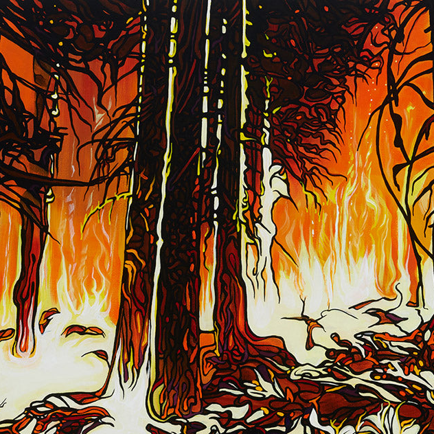 #89 – Bois de nuit