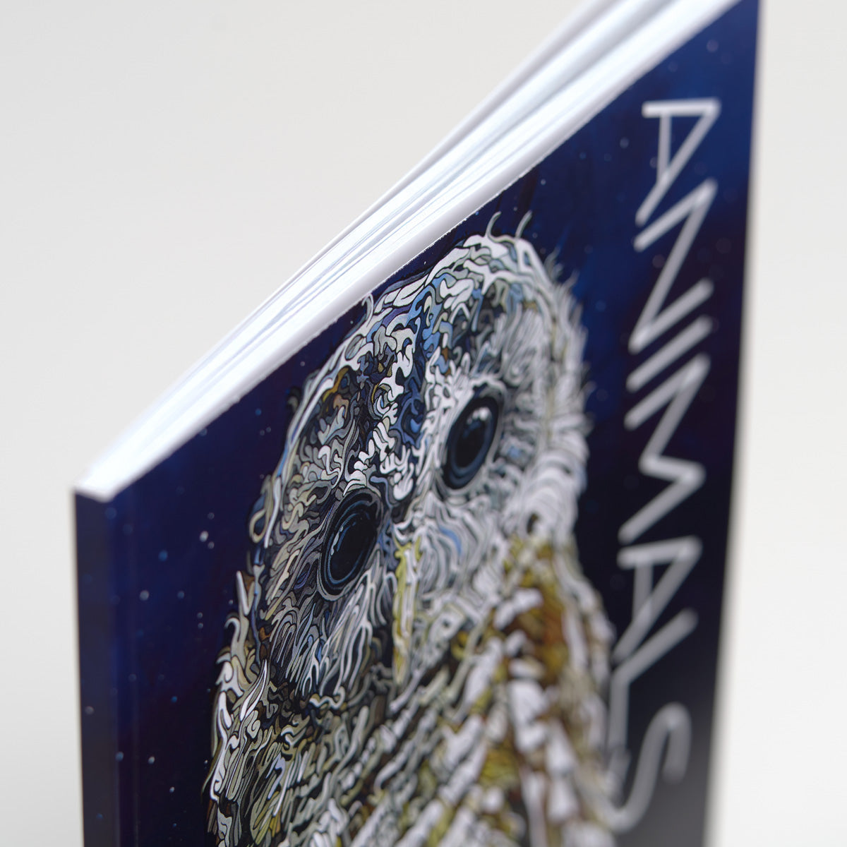 Jeff Dillons Animals Art Book showcases wildlife artwork and features an owl illustration on the cover.