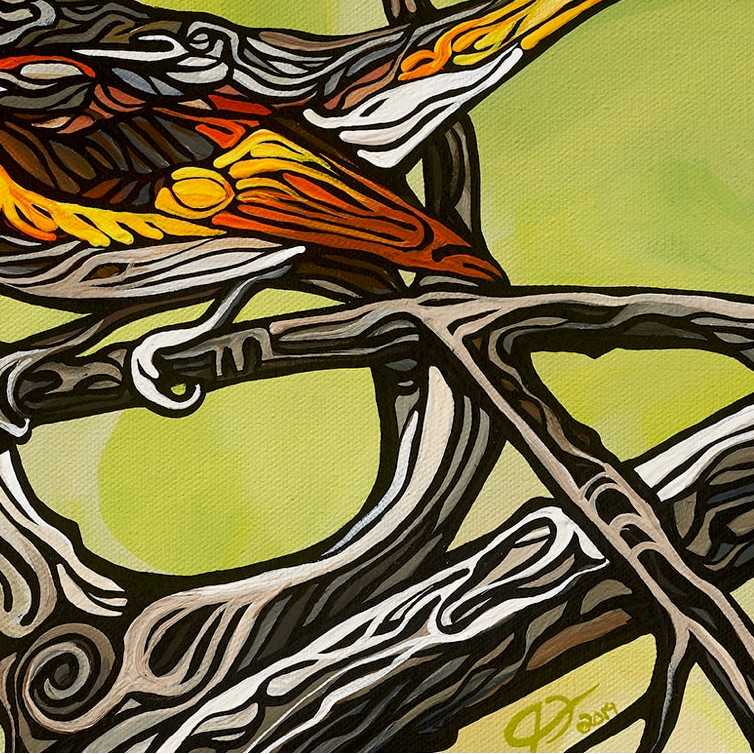 #164 – Rayon de lumière