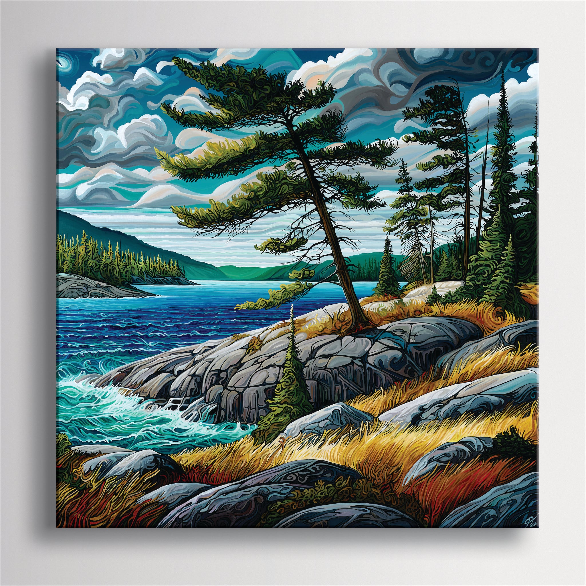 #294 – Le pin gris