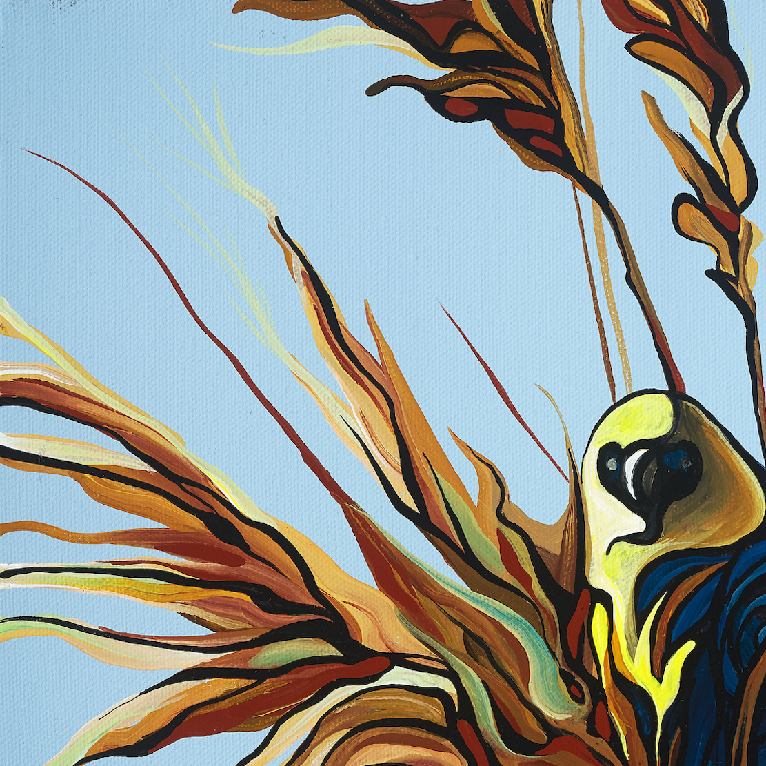 #135 – 难以捉摸