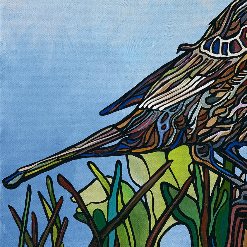 #169 – 红翅​​黑鹂雌鸟