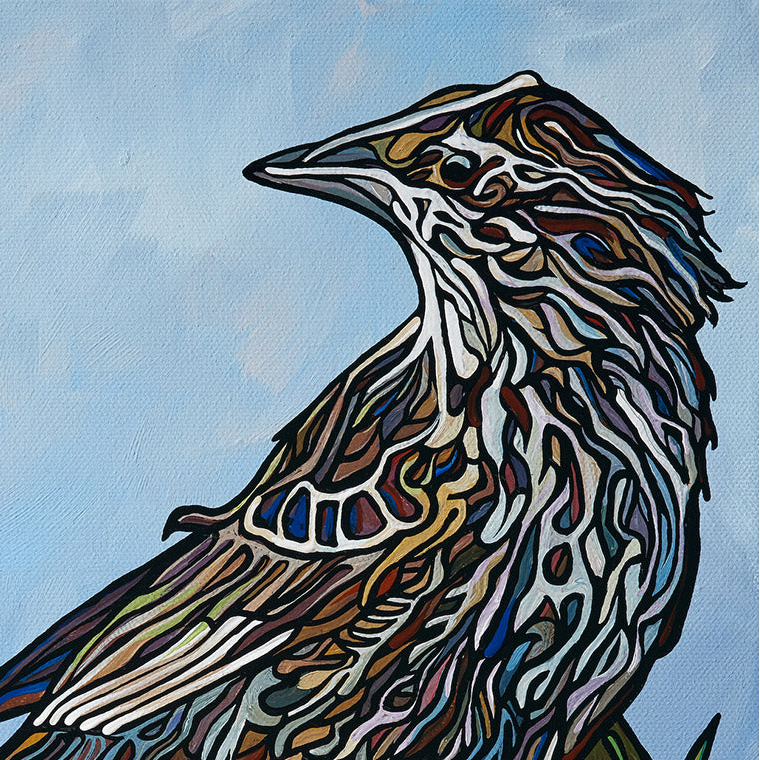 #169 – femelle de l'étourneau à ailes rouges