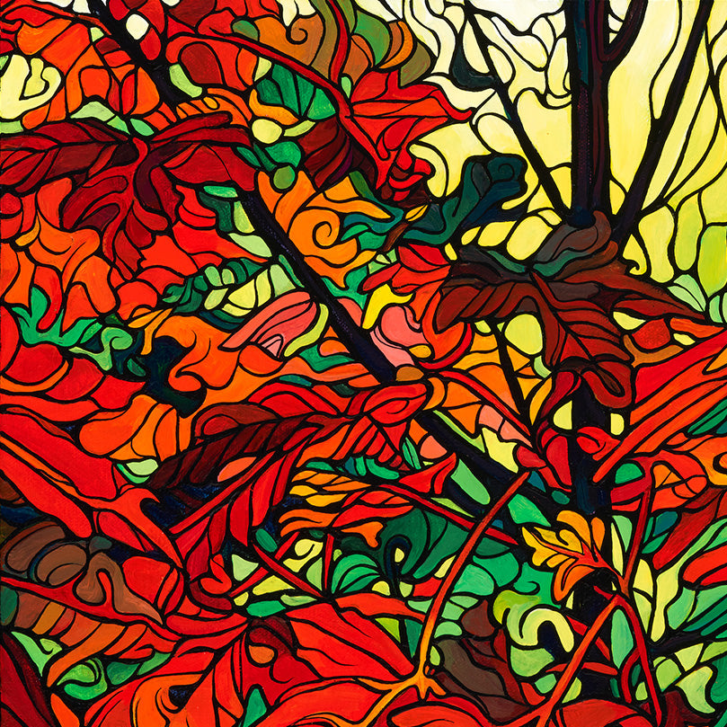 #241 – L'émerveillement