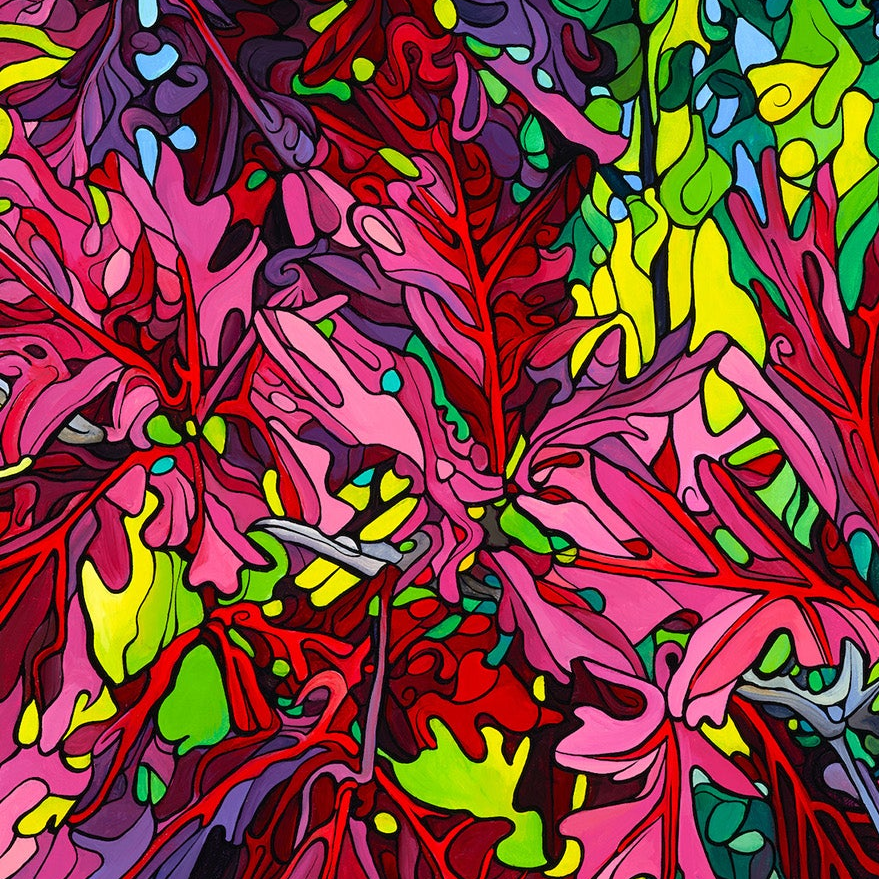 #242 – 雄伟的栗色橡树