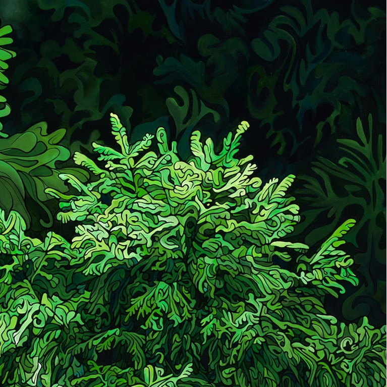 #256 – Caché parmi les sapins