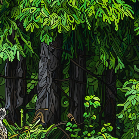 #257 – La quête d'un ours