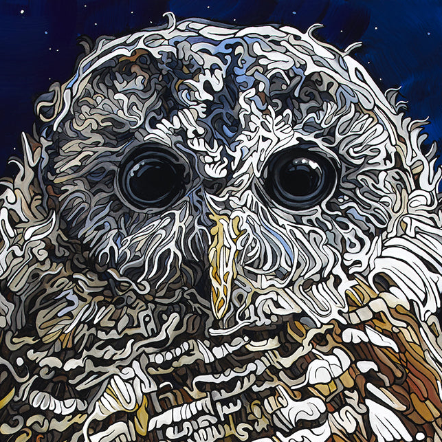 #259 – Le Hibou de nuit