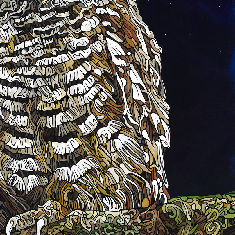 #259 – Le Hibou de nuit