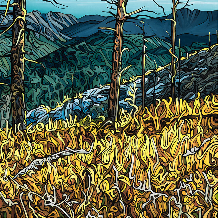 #265 – L'heure dorée