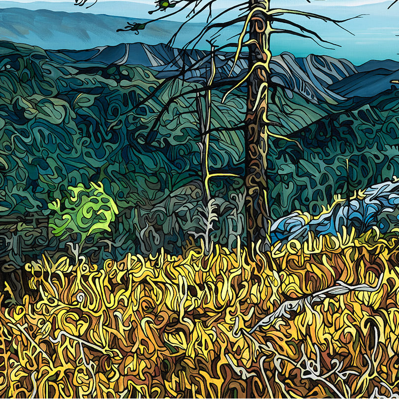 #265 – L'heure dorée