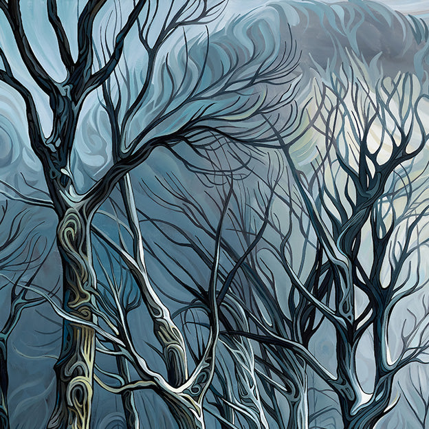 #288 – Rivière tranquille en hiver