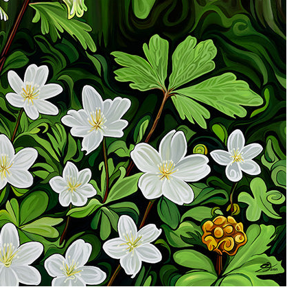 #293 - Étoiles et lanternes