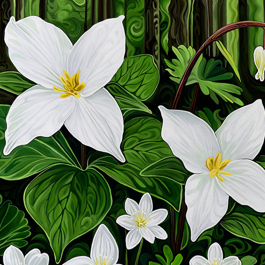 #293 - Étoiles et lanternes