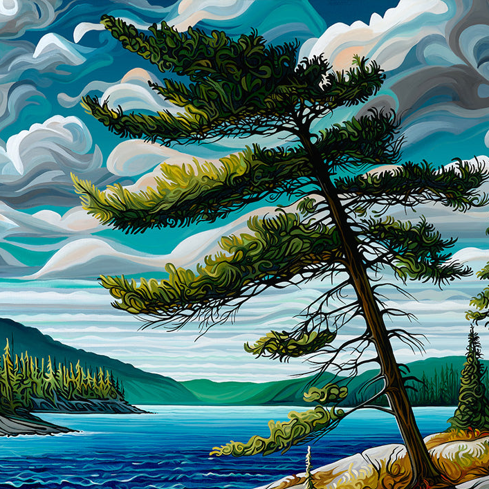 #294 "The Jack Pine"