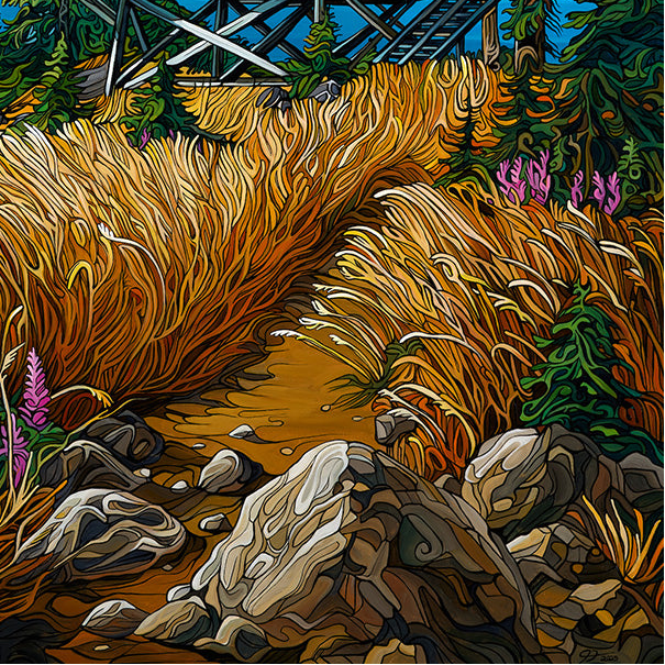 #297 "Where Mind Wanders"