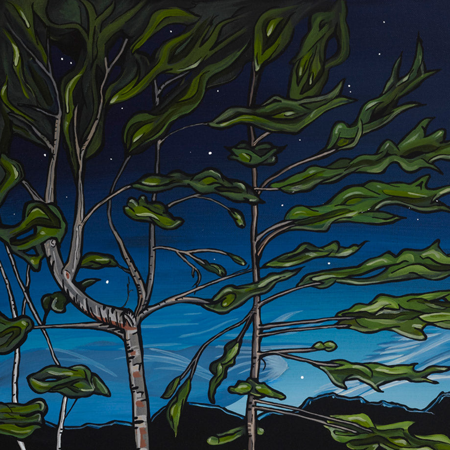 #3 – Feu vert au crépuscule