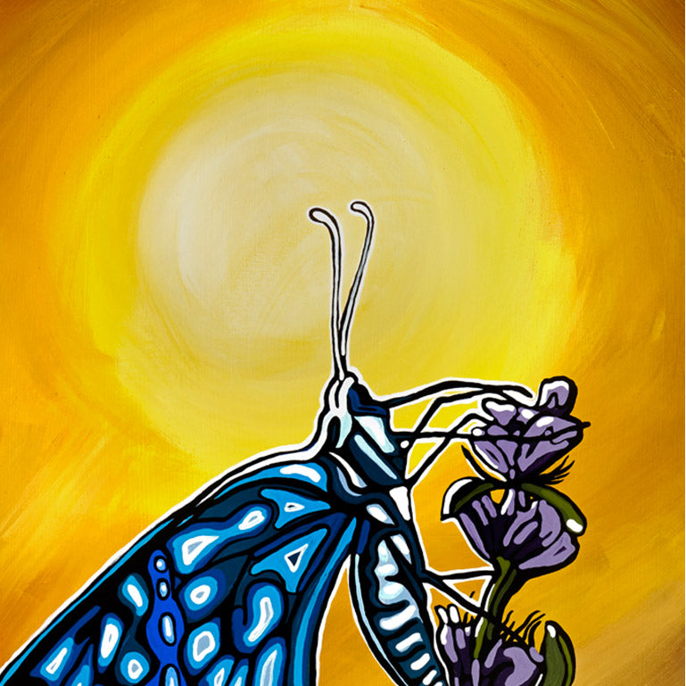 #43 – Dernier vol à l'aube