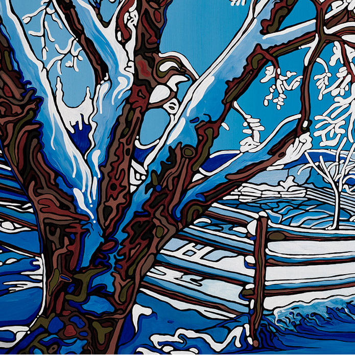 #45 – Promenade matinale tranquille